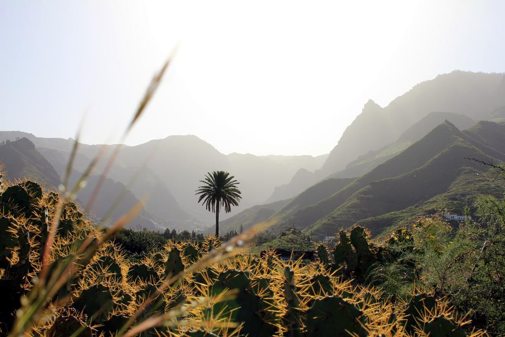 אגאטה La Papaya - Eco - Yoga - Hiking - Hostel מראה חיצוני תמונה
